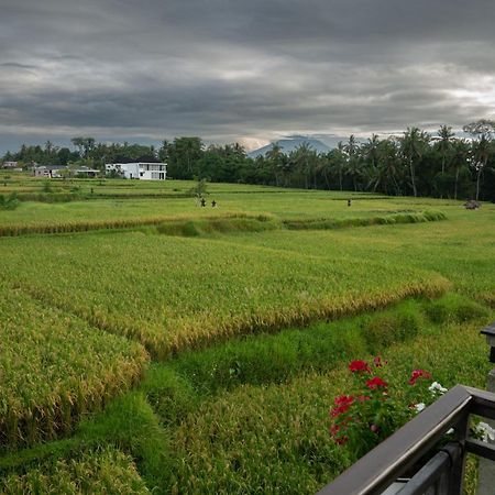 Ananditha Villa Ubud Ricefield Views المظهر الخارجي الصورة